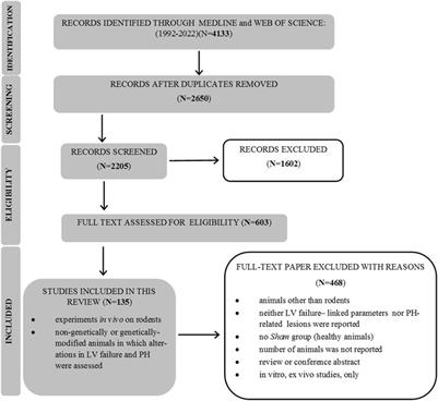 An updated review of experimental rodent models of pulmonary hypertension and left heart disease